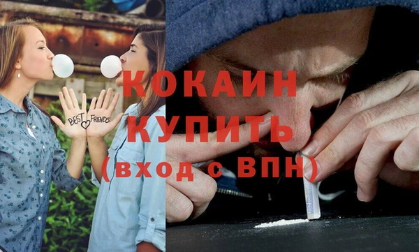 ГАЛЛЮЦИНОГЕННЫЕ ГРИБЫ Вязьма