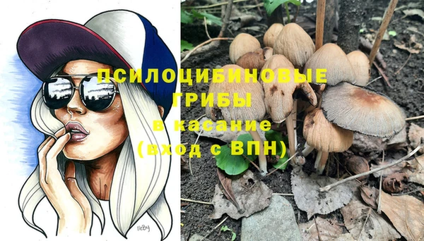 спиды Приозерск