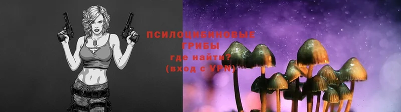 Псилоцибиновые грибы Psilocybe  Белоозёрский 