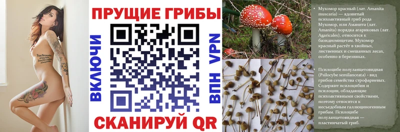 Псилоцибиновые грибы прущие грибы Белоозёрский